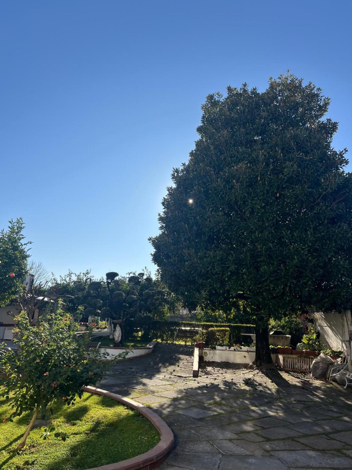 Maison Aielli 112 San Giuseppe Vesuviano Exterior foto